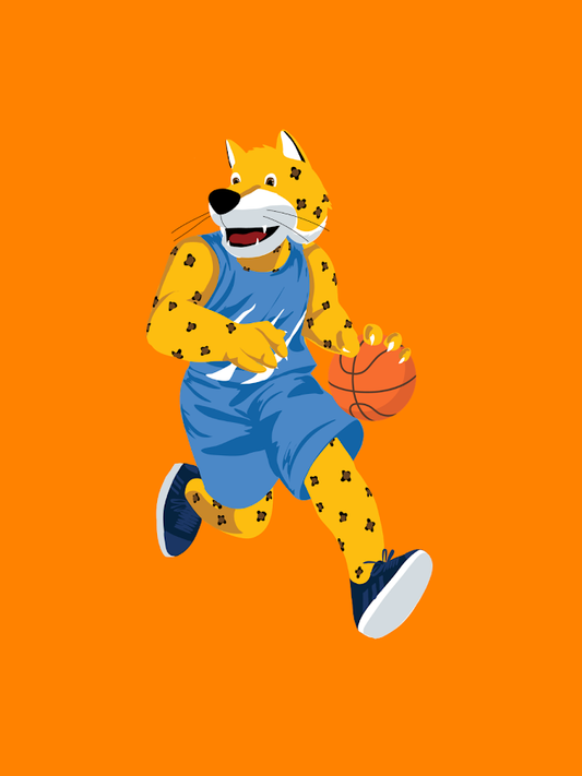 Baloncesto Masculino 3ro - 6to de Primaria