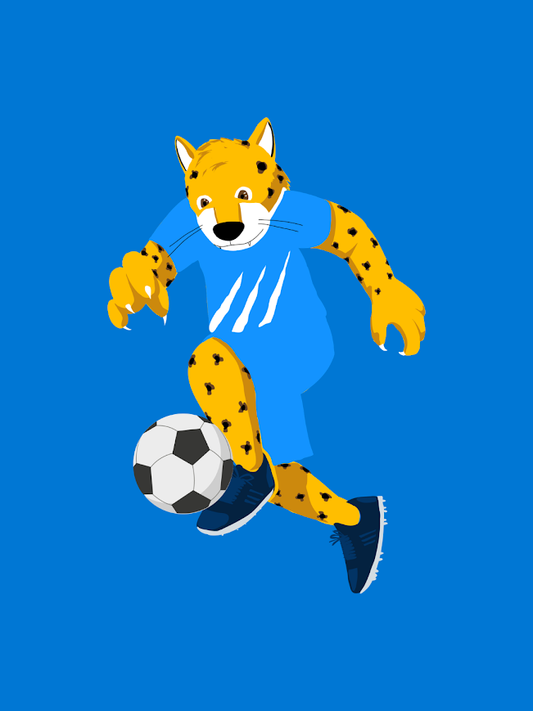 Fútbol U-14 · Masculino | 12–13 AÑOS